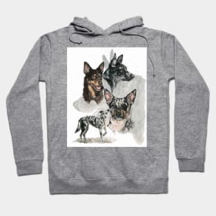 Australian Koolie Hoodie